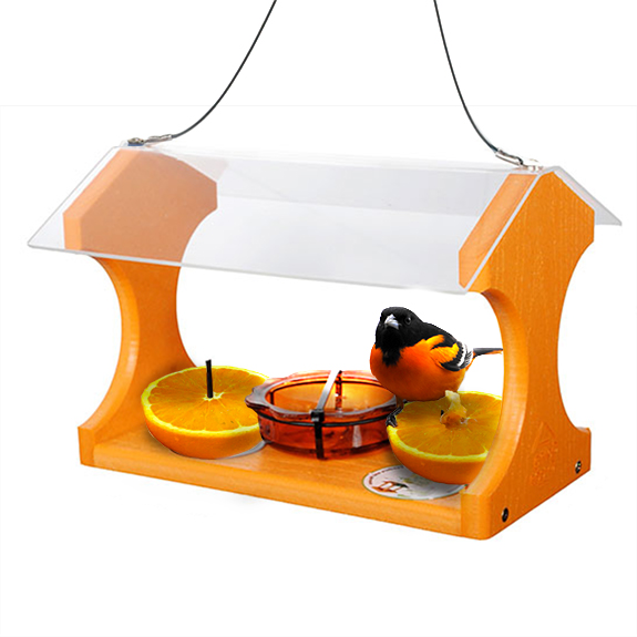 The Backyard Naturalist loves Baltimore Orioles! We stock a variety of Oriole feeders. Serve Orioles oranges, jelly, mealworms or nectar in this versatile and vivid feeder.