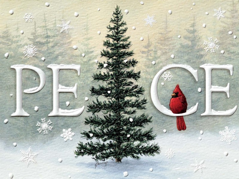 Holiday Greeting Cards, 2024 at The Backyard Naturalist, including 'Peace Tree'