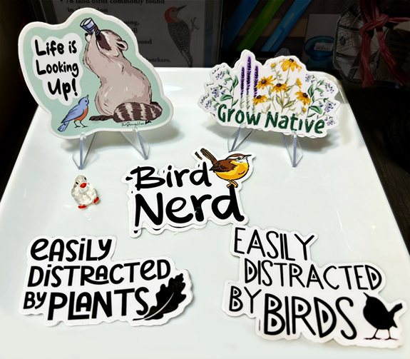 The Backyard Naturalist, in Olney, Maryland stocks Roving Hare Cards and Stickers.