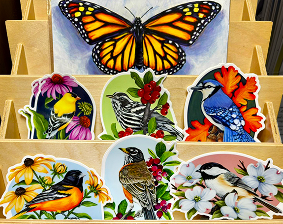 The Backyard Naturalist, in Olney, Maryland stocks Roving Hare Cards and Stickers.