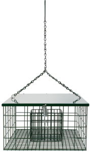 The Backyard Naturalist store has The Suet Palace Feeder in stock. Keep Grackles and Starlings out, but allows Woodpeckers to enjoy your suet!
