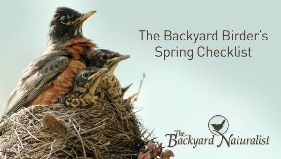 The Backyard Birder's Spring Checklist. Our best tips on getting the most out of backyard birding this Spring.