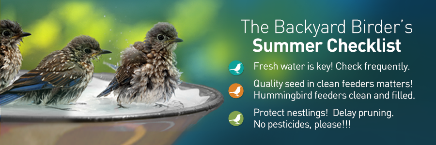 The Backyard Naturalist's Backyard Birder's Summer Checklist for 2022