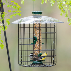 Droll Yankees Domed Cage Feeders