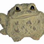 The Backyard Naturalist has Toad Hollow's garden statuary Toads, in Natural finishes and Dark Natural.