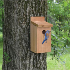 Traditional Wooden Bluebird Nesting Boxes