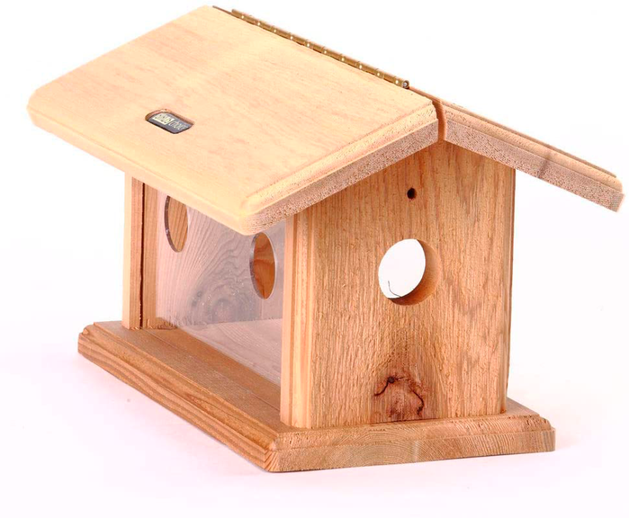 Recycled Bluebird Mealworm Feeder - The Backyard Naturalist