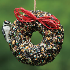 Seed Wreaths and Bells