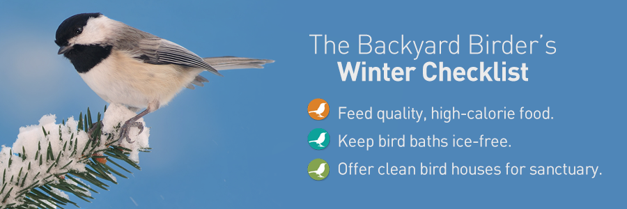 Our Backyard Birders' Checklist for Winter 2023: Feed high-calorie food, keep bird baths ice-free, offer clean bird houses for sanctuary.