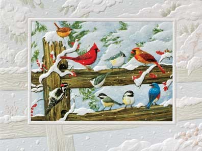 Holiday Greeting Cards, 2023 at The Backyard Naturalist, including 'Winter Songbirds'