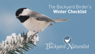 Support Wild Birds Winter 2021! The Backyard Naturalist's Winter 2021 Checklist for Backyard Birding: Focus on the Fundamentals and provide best quality.