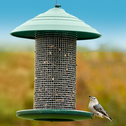 The Backyard Naturalist sells Woodlink's Green Steel Magnum Sunflower Feeder, as well as other mesh screen type feeders.