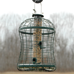Caged Mixed Seed Tube Feeder
