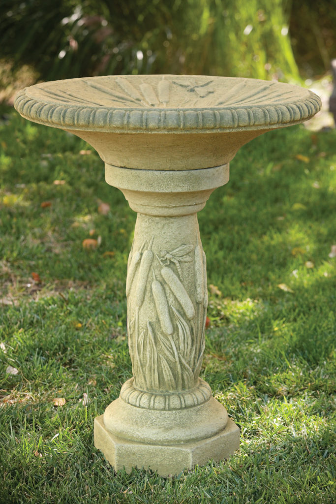 TheBYNconcretebirdbath9718 The Backyard Naturalist