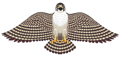 The Backyard Naturalist has Bird Kites with 55-inch wingspan and wings that flap like a real bird, including Birds of Prey, like this Peregrine Falcon.