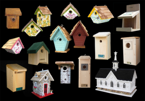 The_Backyard_Naturalist_Bird_Houses_Bluebird_Nest_Nesting_Boxes - The