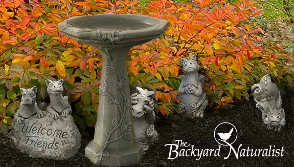 The Backyard Naturalist has concrete bird baths and statuary in stock! We are fully stocked with two of the best US-made concrete and ceramic baths. Oh yeah, and Dragons!